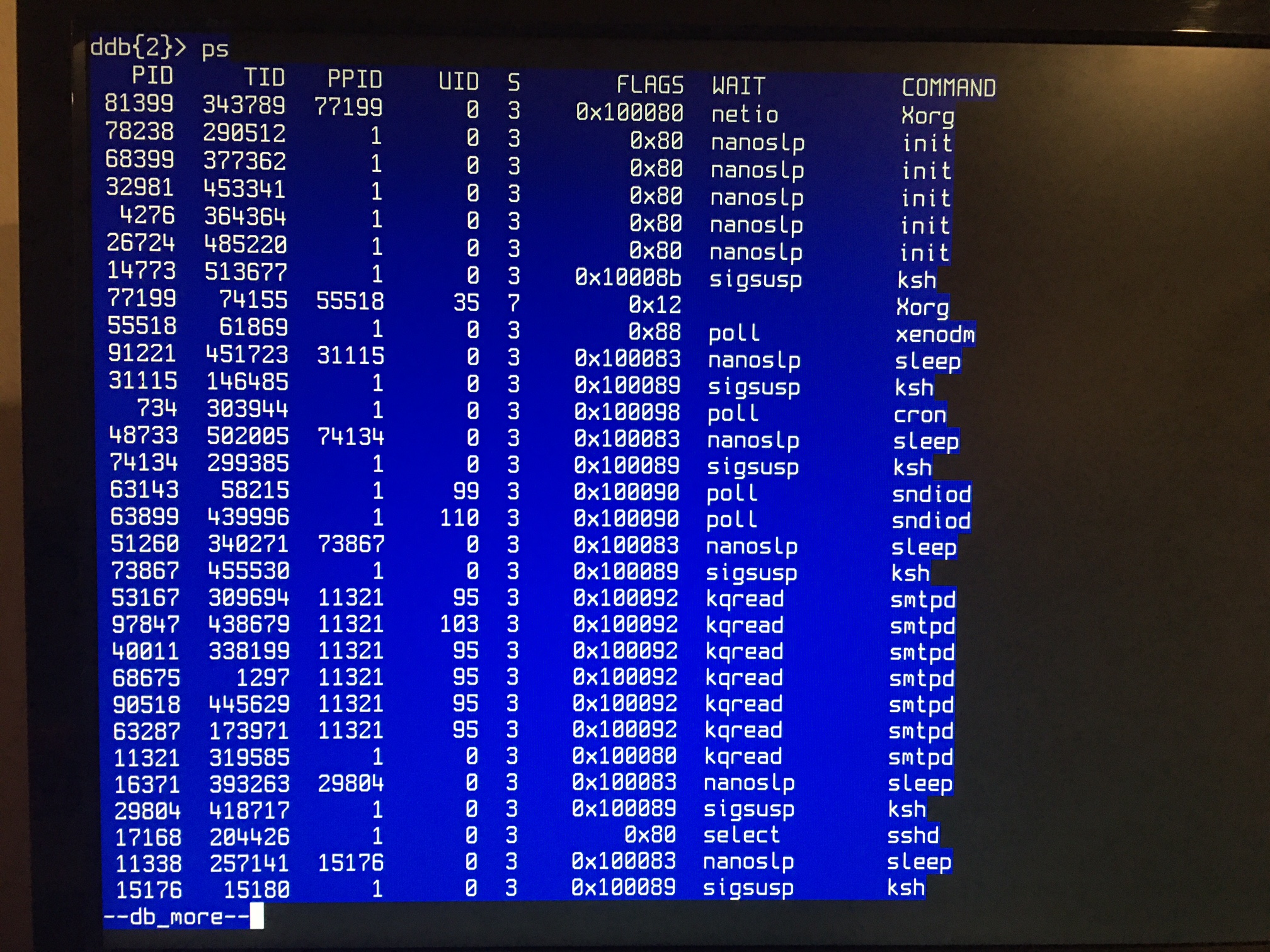 ( OpenBSD 6.9 panic A )